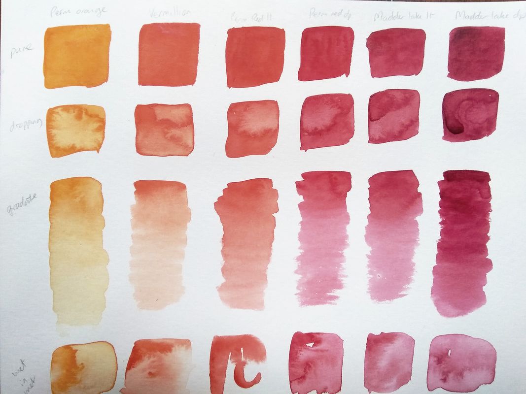 Andrea Paint Color Chart